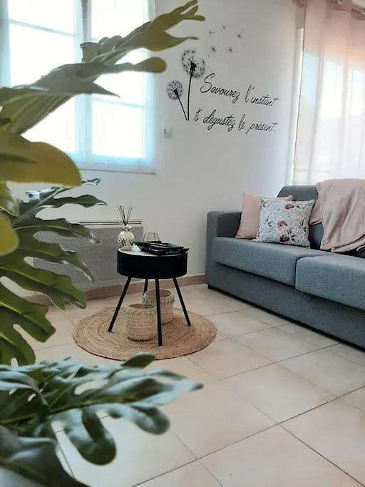 Proche Aeroport A Pied, Le Reve Rose. Apartment Tille 0*,  France