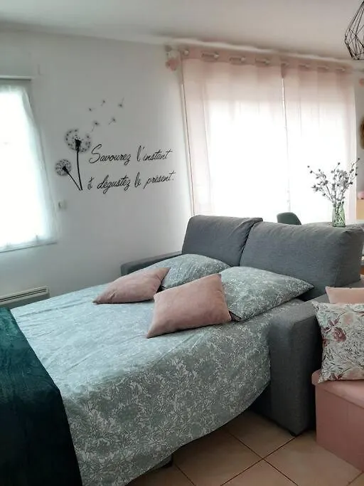 Proche Aeroport A Pied, Le Reve Rose. Apartment Tille France